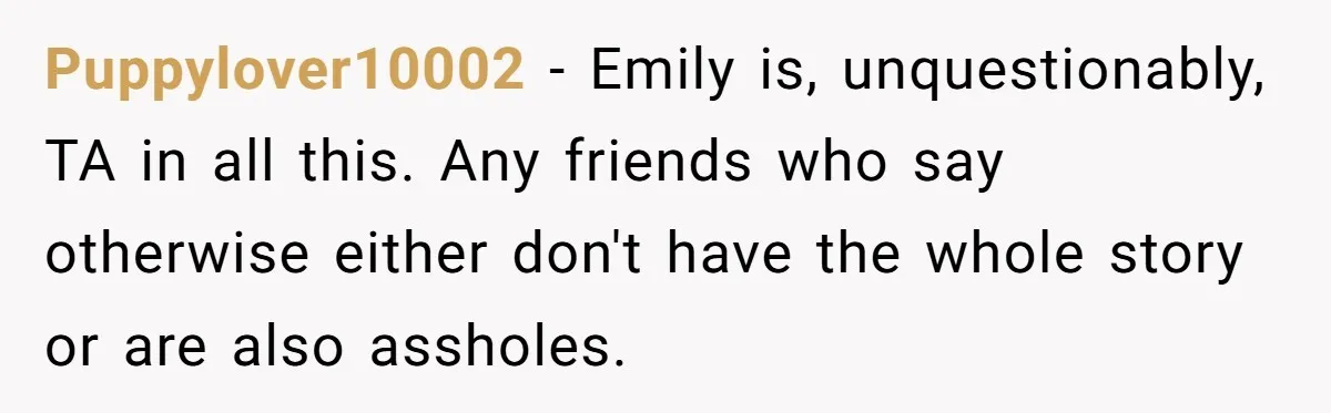 Puppylover10002 − Emily is, unquestionably, TA in all this. Any friends who say otherwise either don't have the whole story or are also assholes.