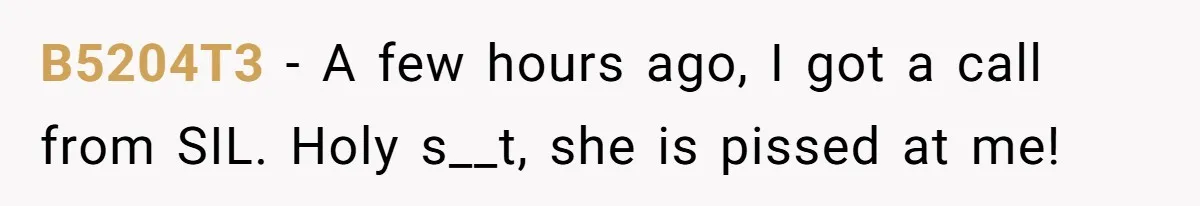B5204T3 − A few hours ago, I got a call from SIL. Holy s__t, she is pissed at me!