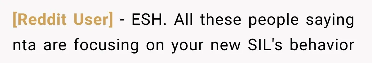 [Reddit User] − ESH. All these people saying nta are focusing on your new SIL's behavior