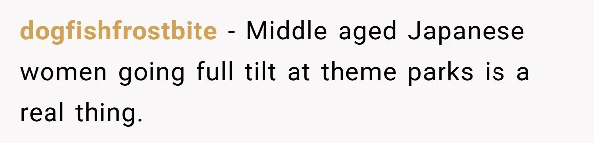 dogfishfrostbite − Middle aged Japanese women going full tilt at theme parks is a real thing.