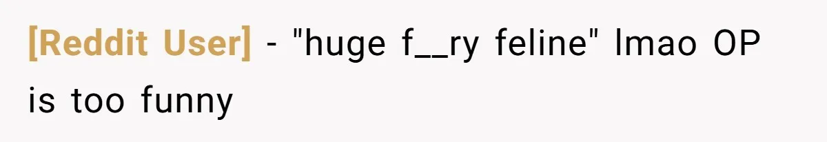 [Reddit User] − "huge f__ry feline" lmao OP is too funny