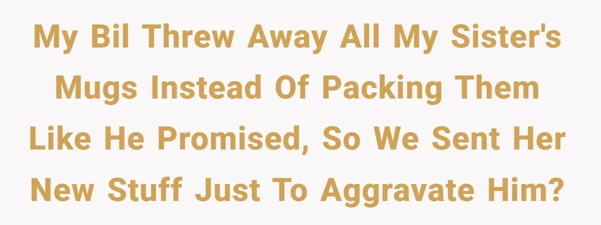 My BIL threw away all my sister's mugs instead of packing them like he promised, so we sent her new stuff just to aggravate him?
