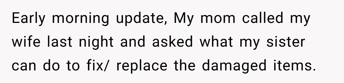Early morning update, My mom called my wife last night and asked what my sister can do to fix/ replace the damaged items.