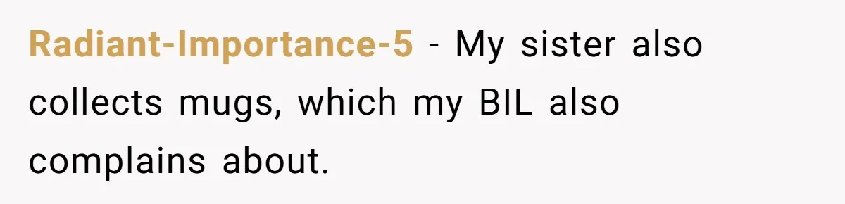 Radiant-Importance-5 − My sister also collects mugs, which my BIL also complains about.