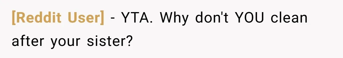 [Reddit User] − YTA. Why don't YOU clean after your sister?