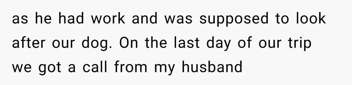 as he had work and was supposed to look after our dog. On the last day of our trip we got a call from my husband