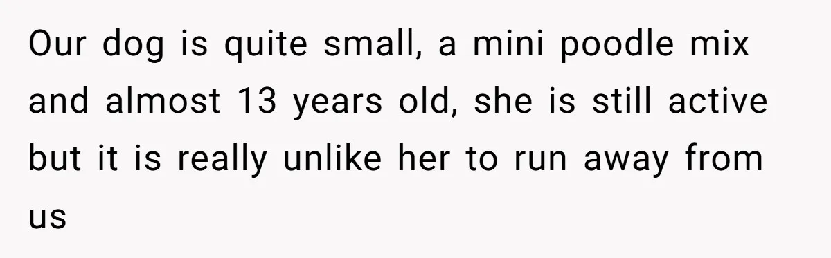 Our dog is quite small, a mini poodle mix and almost 13 years old, she is still active but it is really unlike her to run away from us