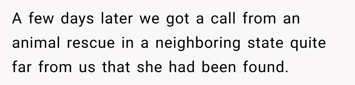 A few days later we got a call from an animal rescue in a neighboring state quite far from us that she had been found.