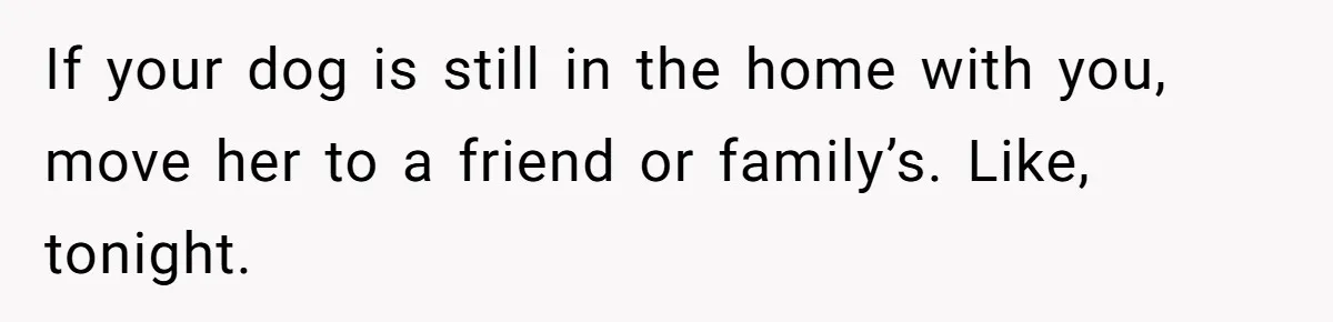 If your dog is still in the home with you, move her to a friend or family’s. Like, tonight.