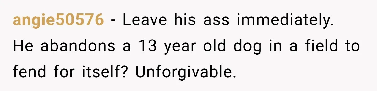 angie50576 − Leave his ass immediately. He abandons a 13 year old dog in a field to fend for itself? Unforgivable.
