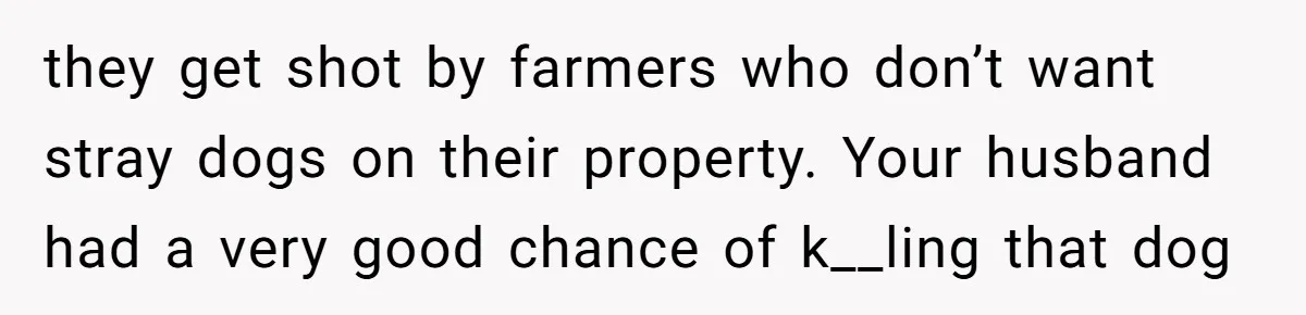 they get shot by farmers who don’t want stray dogs on their property. Your husband had a very good chance of k__ling that dog