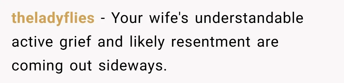 theladyflies − Your wife's understandable active grief and likely resentment are coming out sideways.