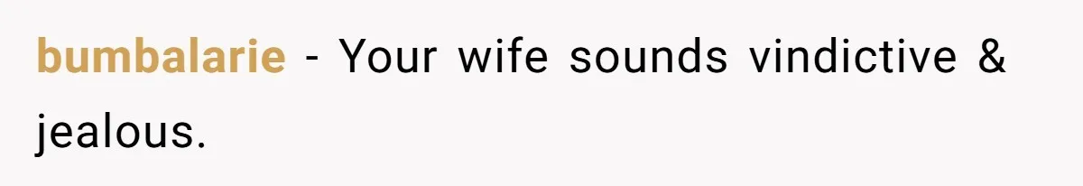 bumbalarie − Your wife sounds vindictive & jealous.