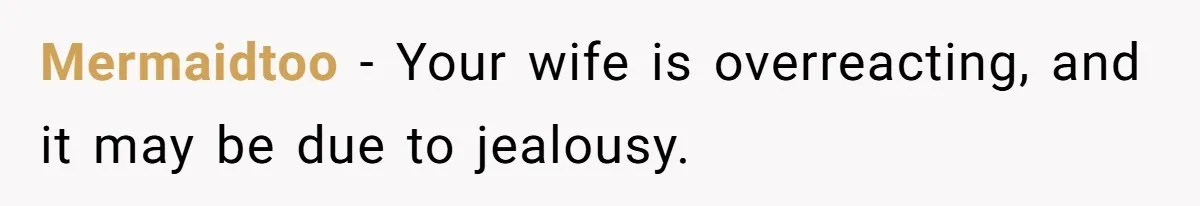 Mermaidtoo − Your wife is overreacting, and it may be due to jealousy.