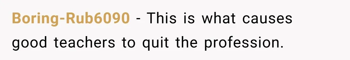 Boring-Rub6090 − This is what causes good teachers to quit the profession.
