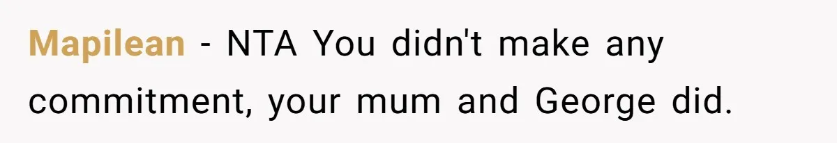 Mapilean − NTA You didn't make any commitment, your mum and George did.
