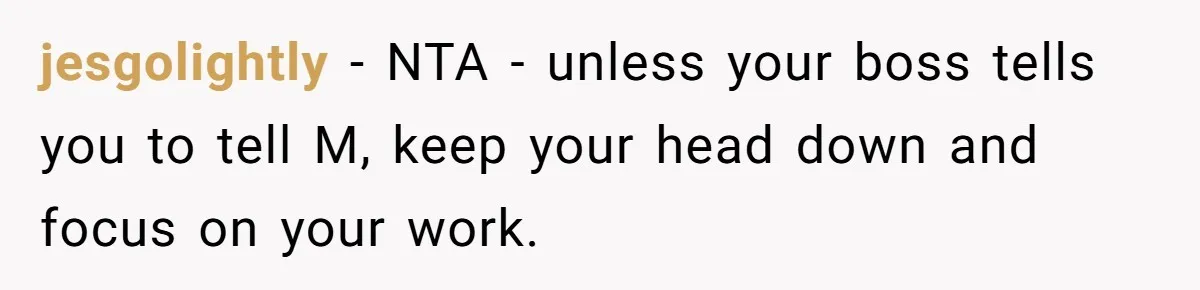 Employee Earns Promotion But Faces Dilemma Over Telling Fellow Coworker A Harsh Truth jesgolightly − NTA - unless your boss tells you to tell M, keep your head down and focus on your work.