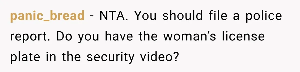 panic_bread − NTA. You should file a police report. Do you have the woman’s license plate in the security video?
