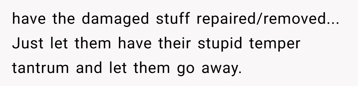 have the damaged stuff repaired/removed... Just let them have their stupid temper tantrum and let them go away.