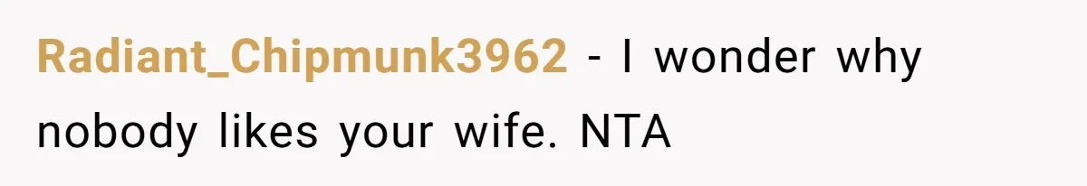 Radiant_Chipmunk3962 − I wonder why nobody likes your wife. NTA