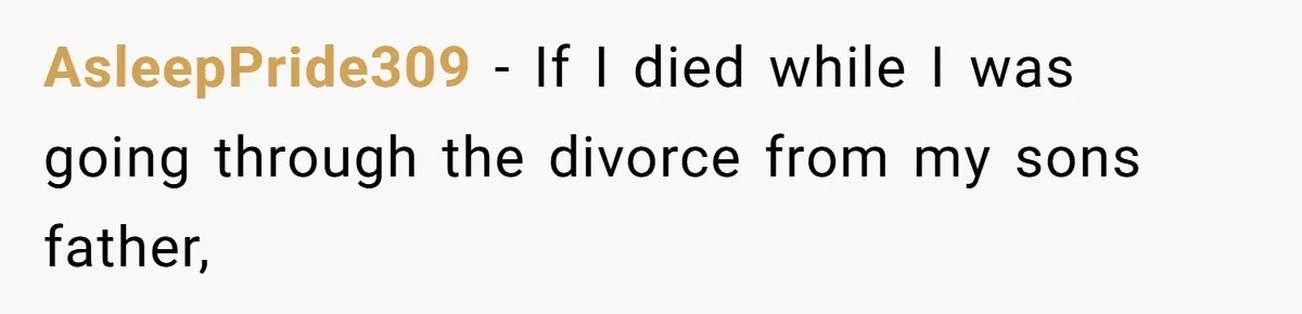 AsleepPride309 − If I died while I was going through the divorce from my sons father,