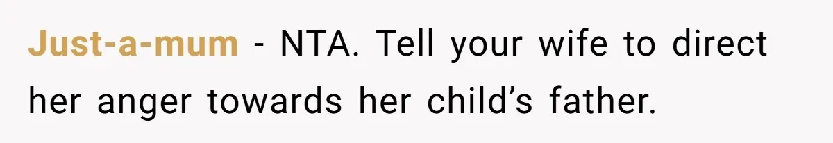 Just-a-mum − NTA. Tell your wife to direct her anger towards her child’s father.
