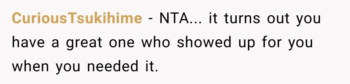 CuriousTsukihime − NTA... it turns out you have a great one who showed up for you when you needed it.