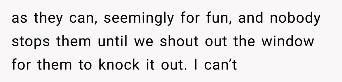 as they can, seemingly for fun, and nobody stops them until we shout out the window for them to knock it out. I can’t