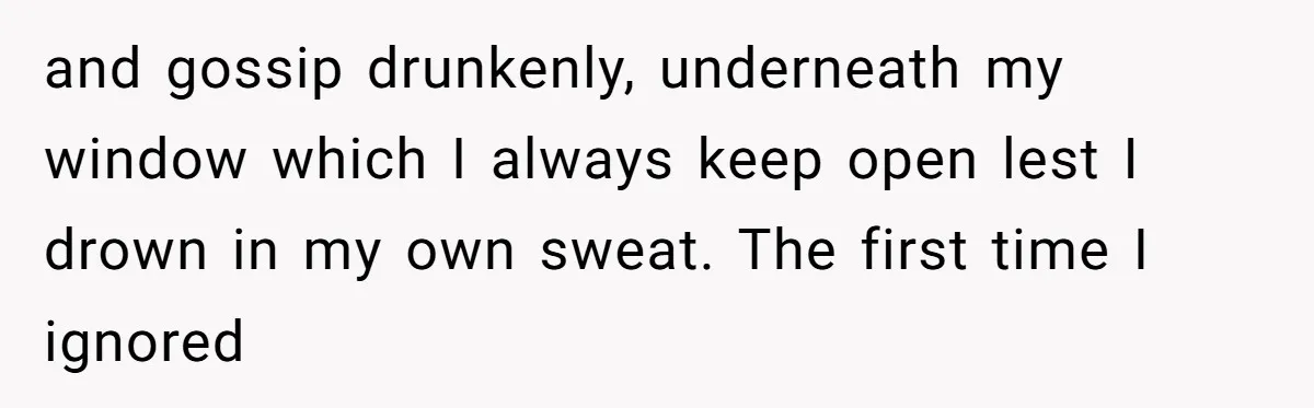 and gossip drunkenly, underneath my window which I always keep open lest I drown in my own sweat. The first time I ignored