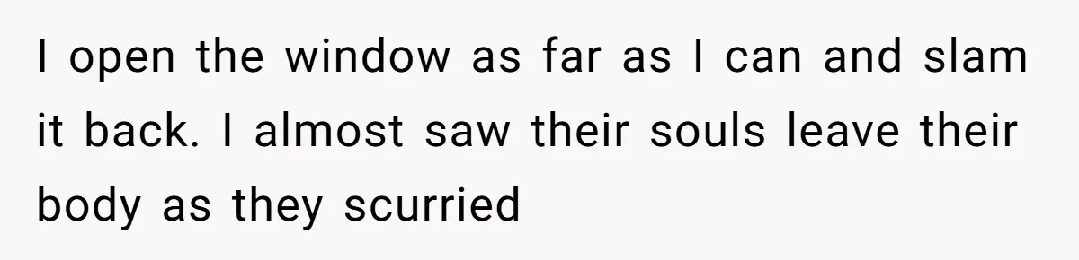 I open the window as far as I can and slam it back. I almost saw their souls leave their body as they scurried