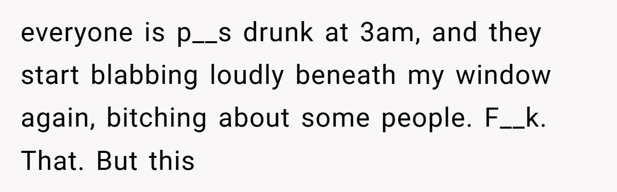 everyone is p__s drunk at 3am, and they start blabbing loudly beneath my window again, bitching about some people. F__k. That. But this