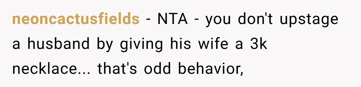 neoncactusfields − NTA - you don't upstage a husband by giving his wife a 3k necklace... that's odd behavior,
