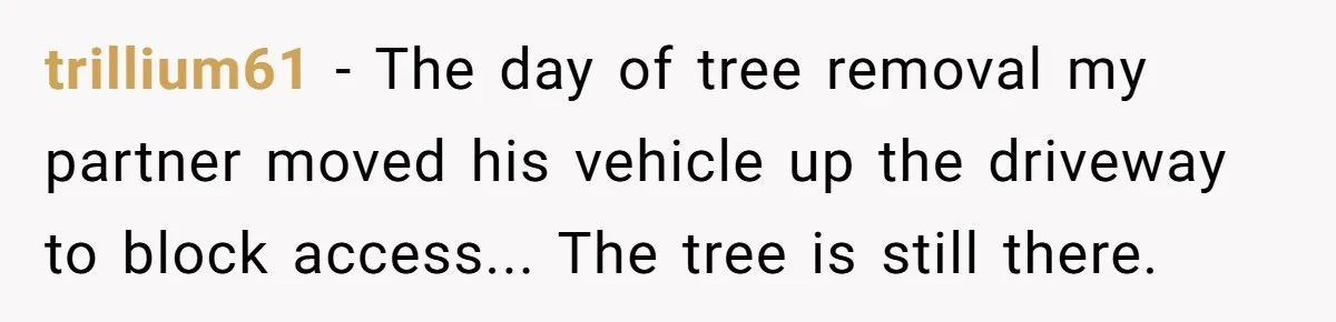 trillium61 − The day of tree removal my partner moved his vehicle up the driveway to block access... The tree is still there.