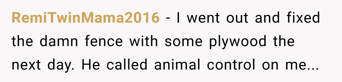 RemiTwinMama2016 − I went out and fixed the damn fence with some plywood the next day. He called animal control on me...