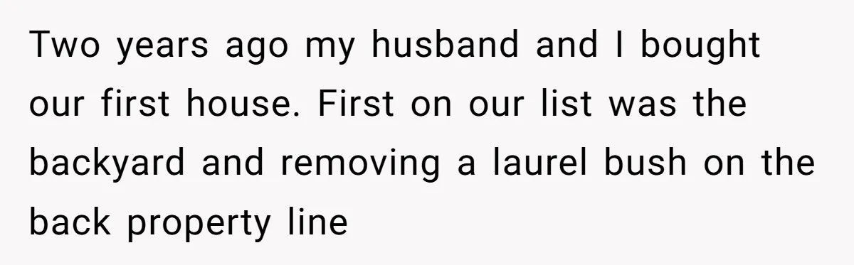 Two years ago my husband and I bought our first house. First on our list was the backyard and removing a laurel bush on the back property line