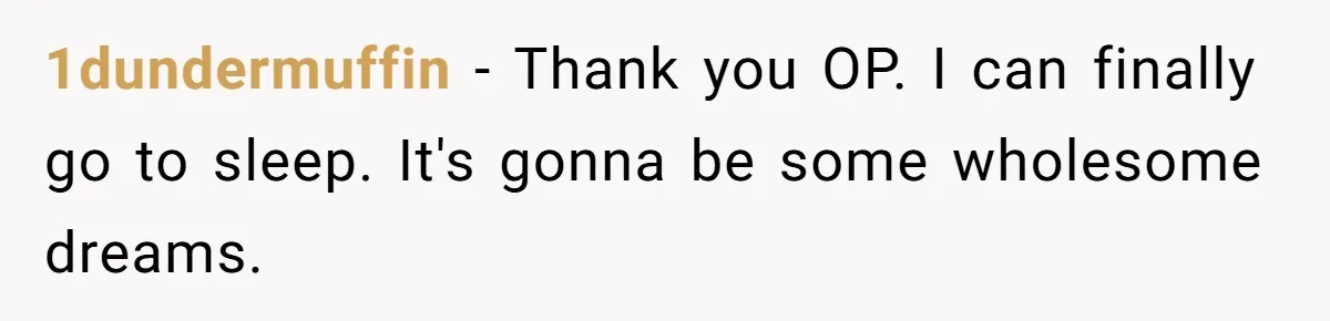 1dundermuffin − Thank you OP. I can finally go to sleep. It's gonna be some wholesome dreams.
