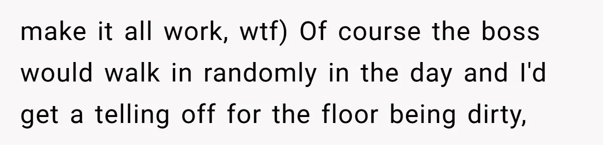 make it all work, wtf) Of course the boss would walk in randomly in the day and I'd get a telling off for the floor being dirty,