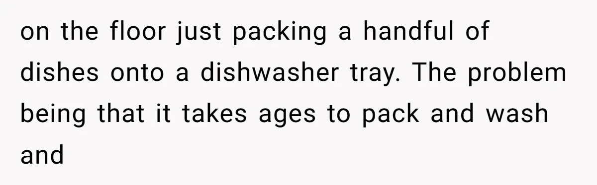 on the floor just packing a handful of dishes onto a dishwasher tray. The problem being that it takes ages to pack and wash and