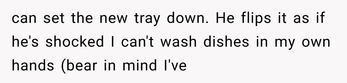 can set the new tray down. He flips it as if he's shocked I can't wash dishes in my own hands (bear in mind I've