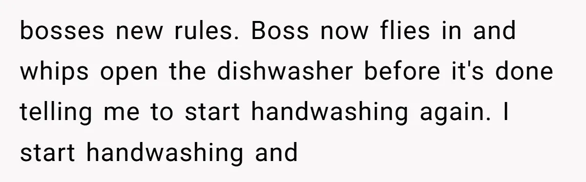bosses new rules. Boss now flies in and whips open the dishwasher before it's done telling me to start handwashing again. I start handwashing and