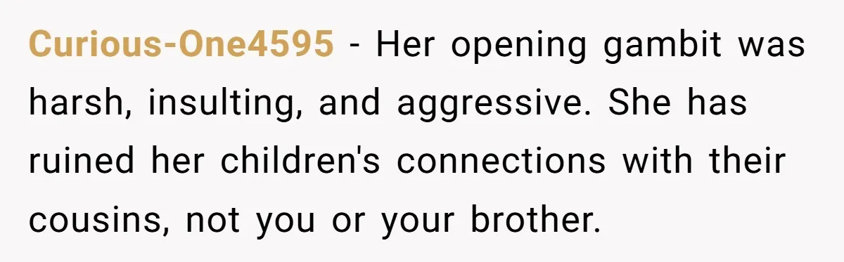 Curious-One4595 − Her opening gambit was harsh, insulting, and aggressive. She has ruined her children's connections with their cousins, not you or your brother.