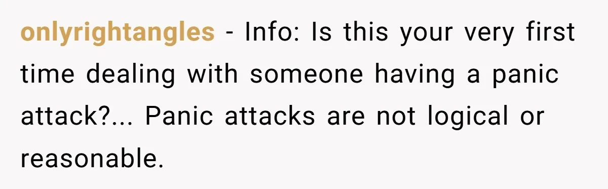 onlyrightangles − Info: Is this your very first time dealing with someone having a panic attack?... Panic attacks are not logical or reasonable.