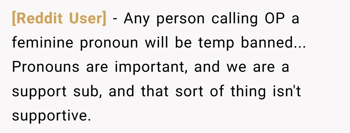 [Reddit User] − Any person calling OP a feminine pronoun will be temp banned... Pronouns are important, and we are a support sub, and that sort of thing isn't supportive.