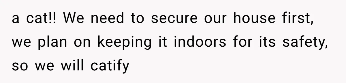 a cat!! We need to secure our house first, we plan on keeping it indoors for its safety, so we will catify
