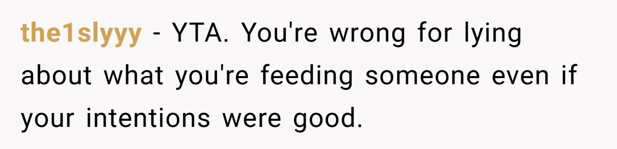 the1slyyy − YTA. You're wrong for lying about what you're feeding someone even if your intentions were good.