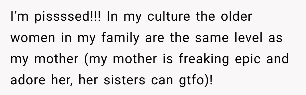 I’m pissssed!!! In my culture the older women in my family are the same level as my mother (my mother is freaking epic and adore her, her sisters can gtfo)!