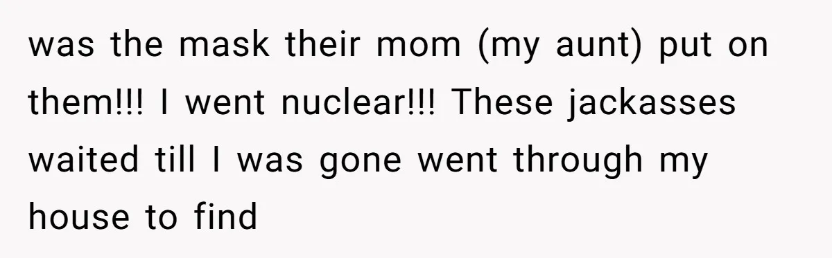 was the mask their mom (my aunt) put on them!!! I went nuclear!!! These jackasses waited till I was gone went through my house to find