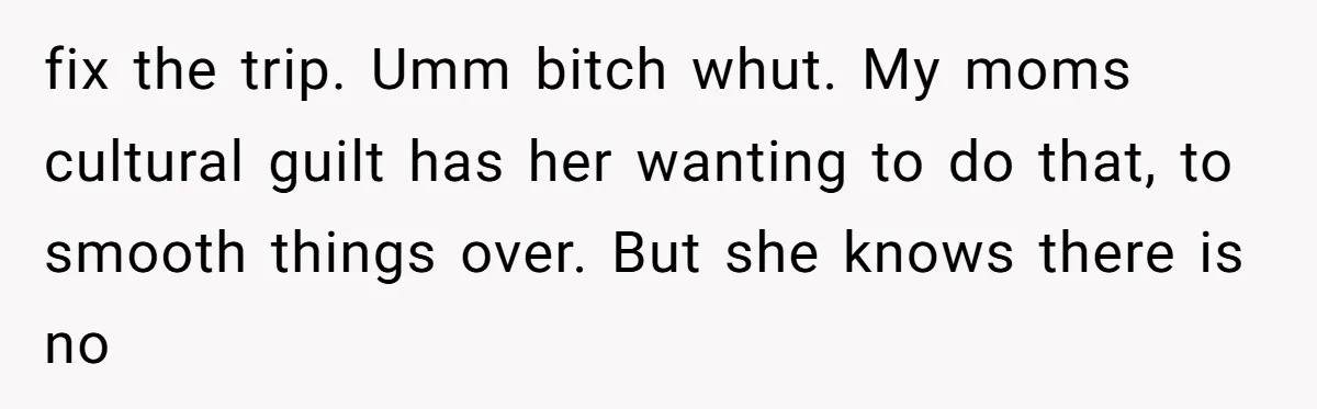 fix the trip. Umm bitch whut. My moms cultural guilt has her wanting to do that, to smooth things over. But she knows there is no