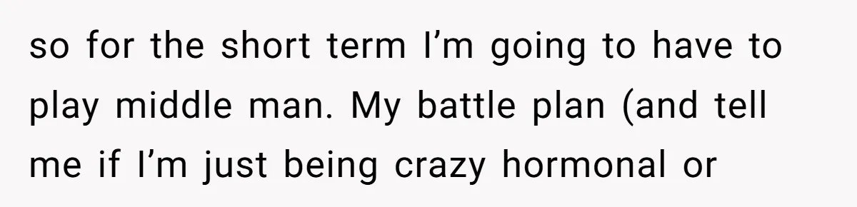 so for the short term I’m going to have to play middle man. My battle plan (and tell me if I’m just being crazy hormonal or
