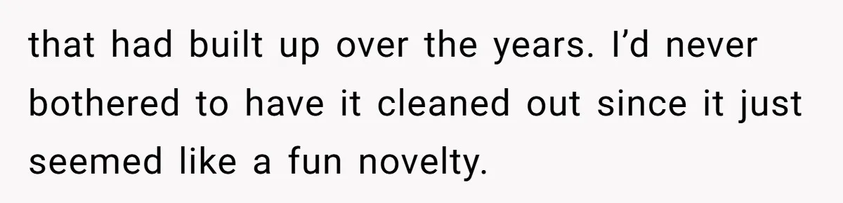 that had built up over the years. I’d never bothered to have it cleaned out since it just seemed like a fun novelty.